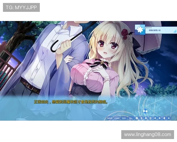 遇到galgame打不开游戏的常见问题及解决方法解析